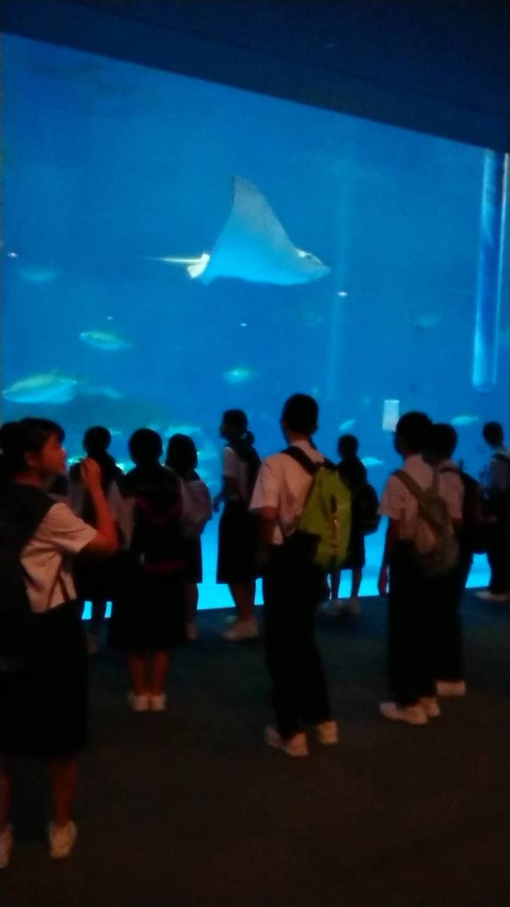 那珂川北中学校 修学旅行