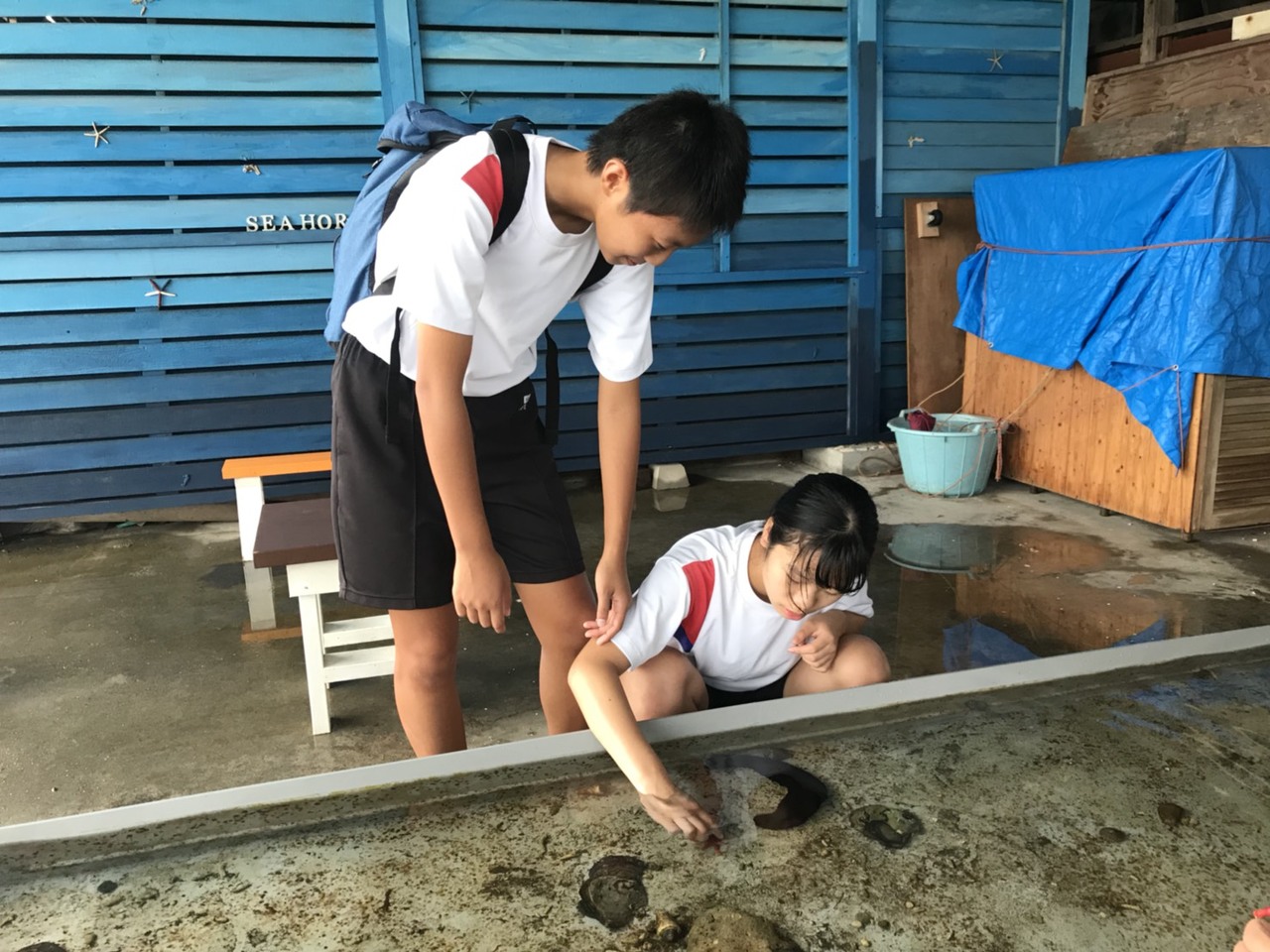 那珂川北中学校 修学旅行