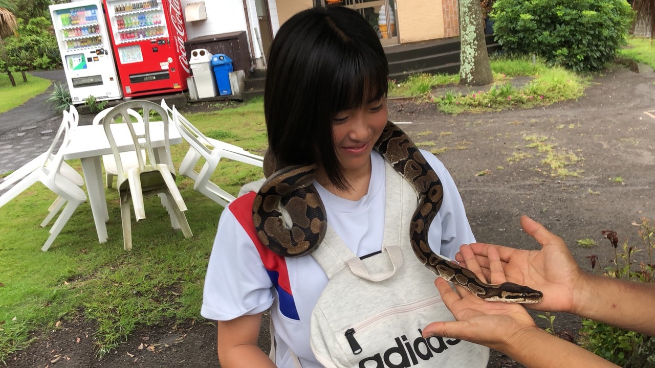 那珂川北中学校 修学旅行