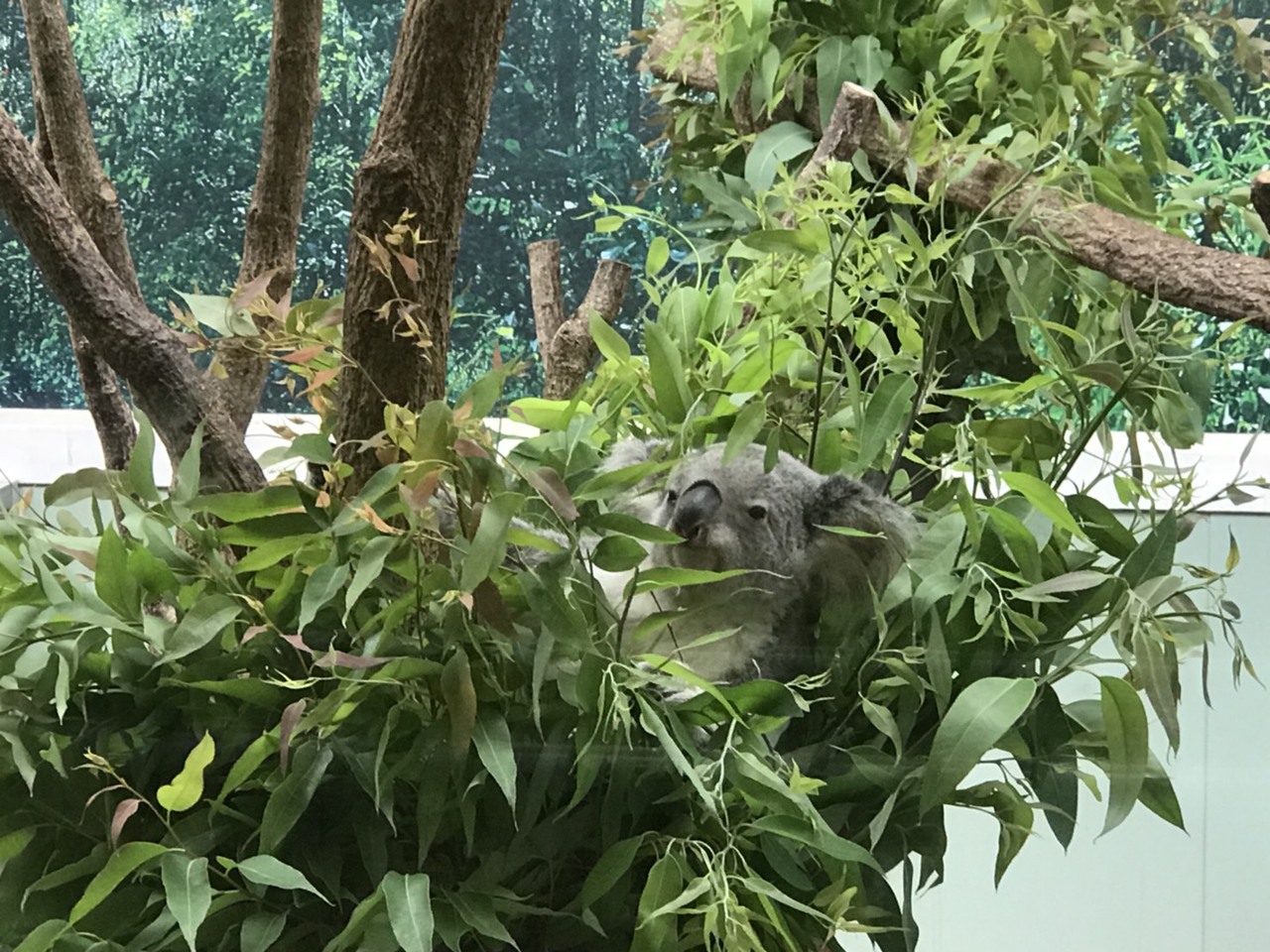 那珂川北中学校 修学旅行