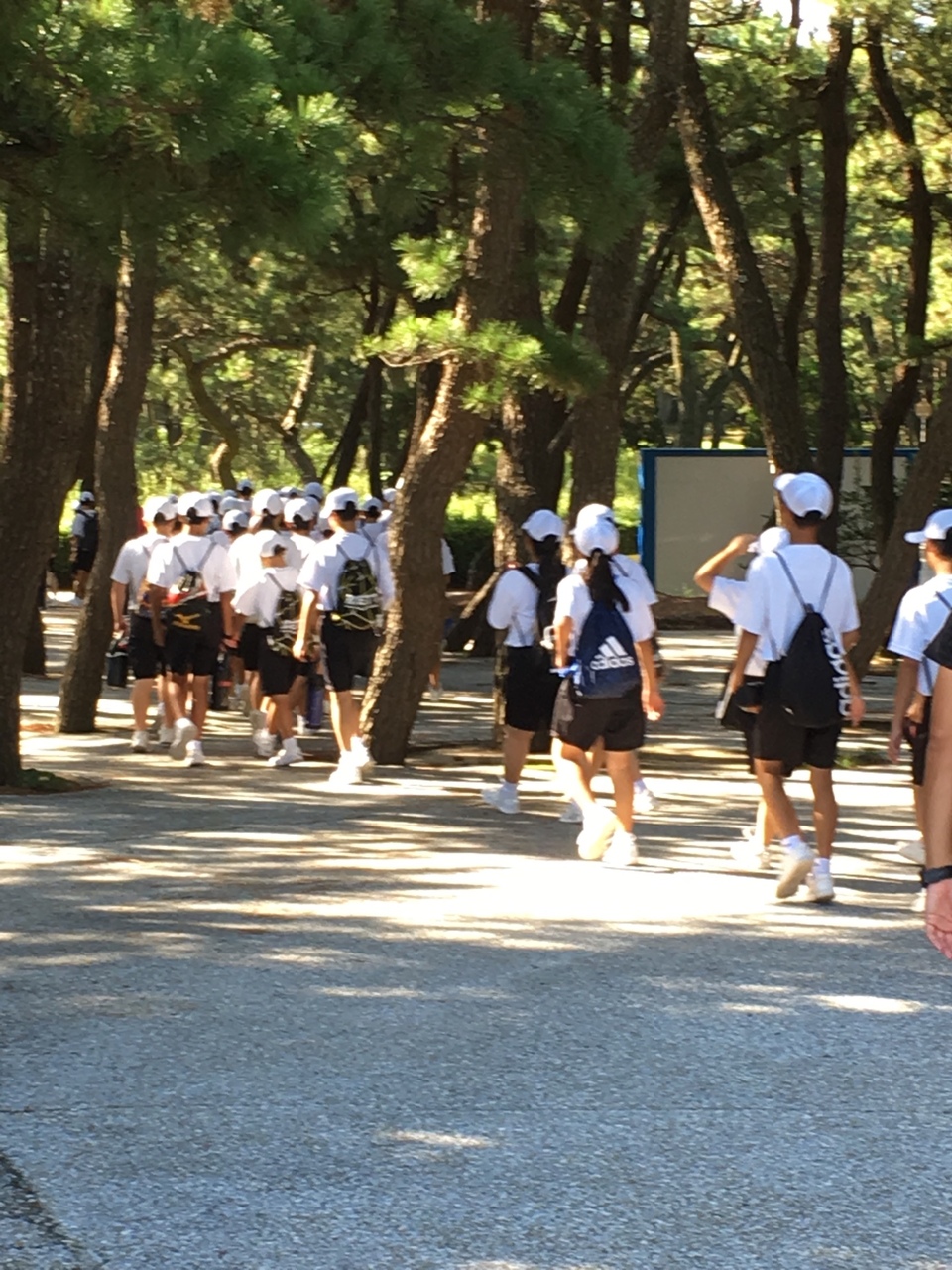 那珂川北中学校 令和元年度自然教室