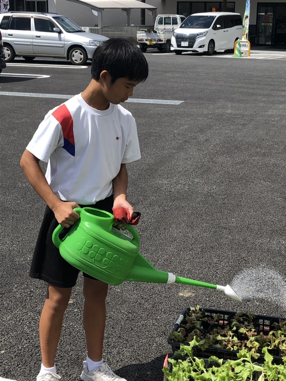 那珂川北中学校 ２年生の職業体験