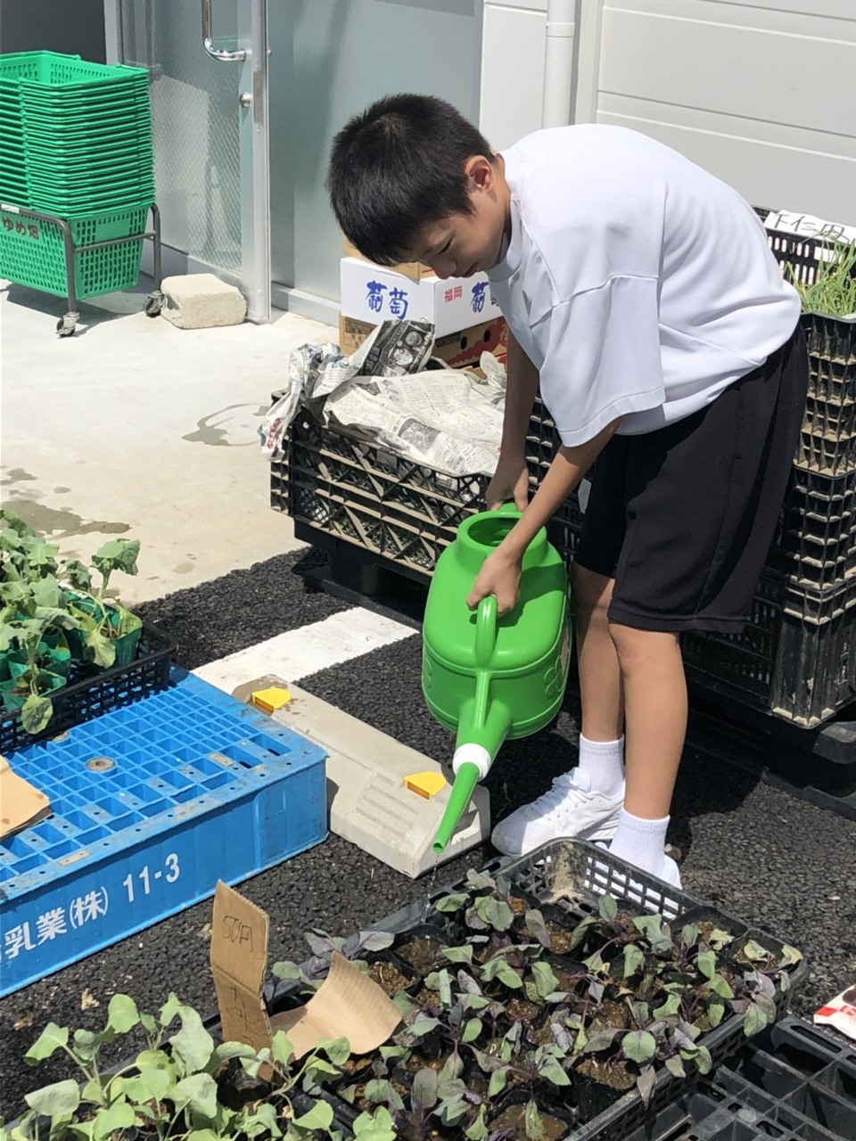 那珂川北中学校 ２年生の職業体験