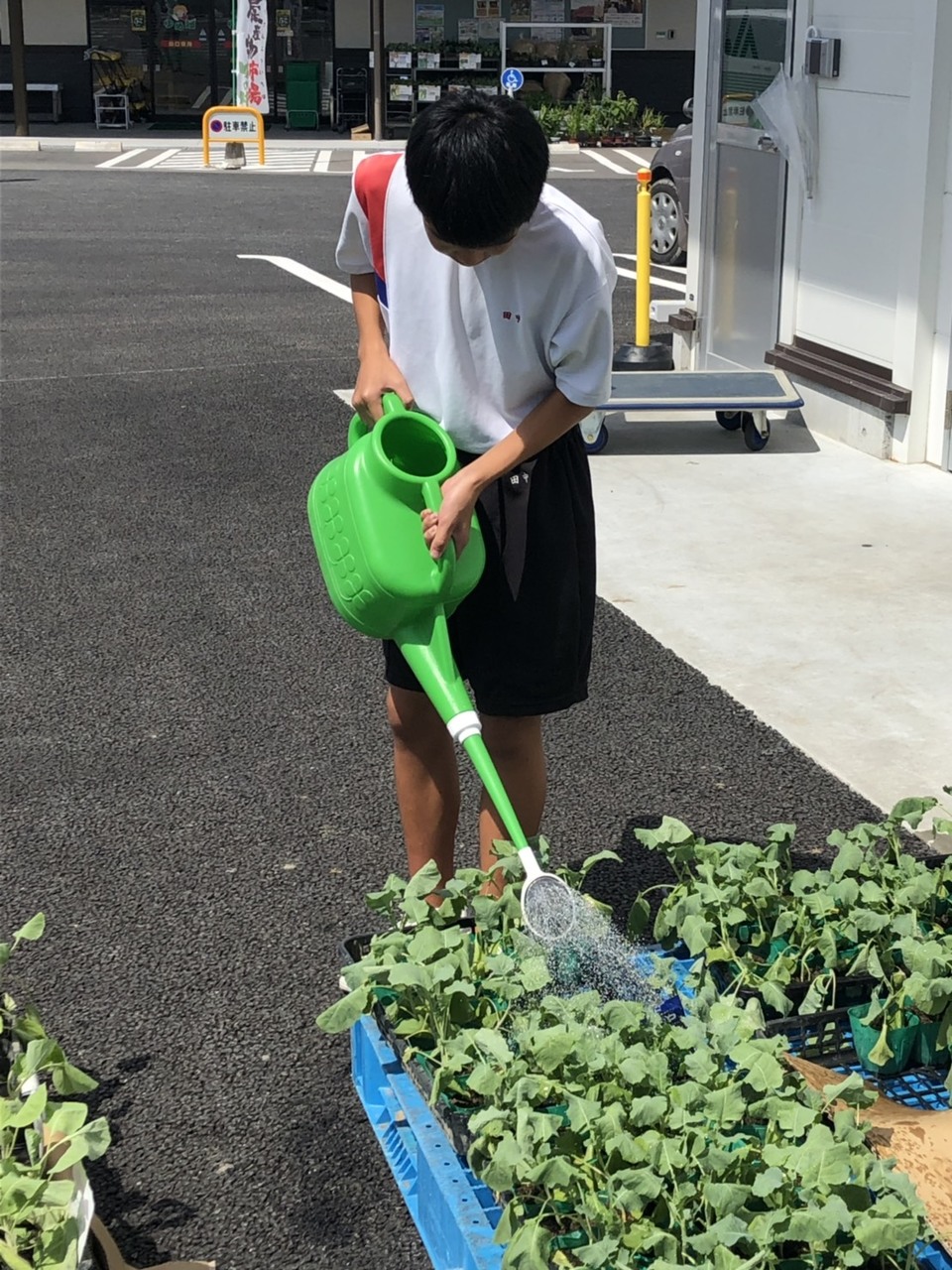 那珂川北中学校 ２年生の職業体験