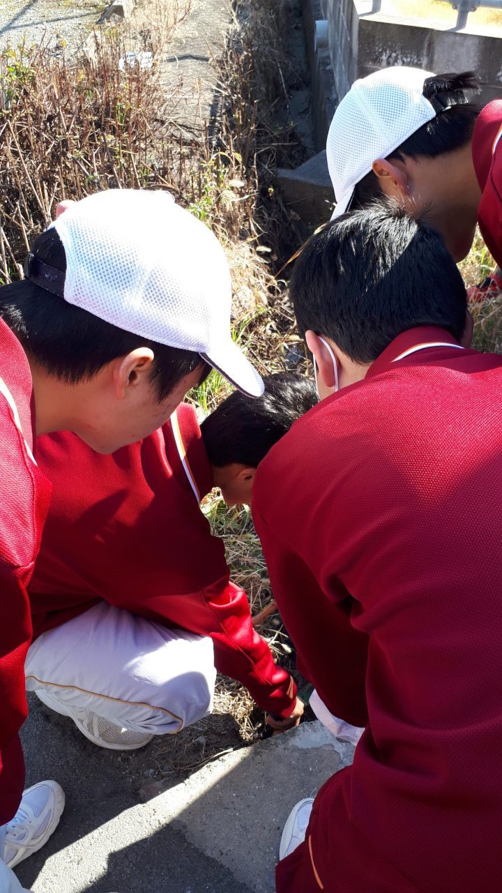 那珂川北中学校　小中合同クリーン作戦