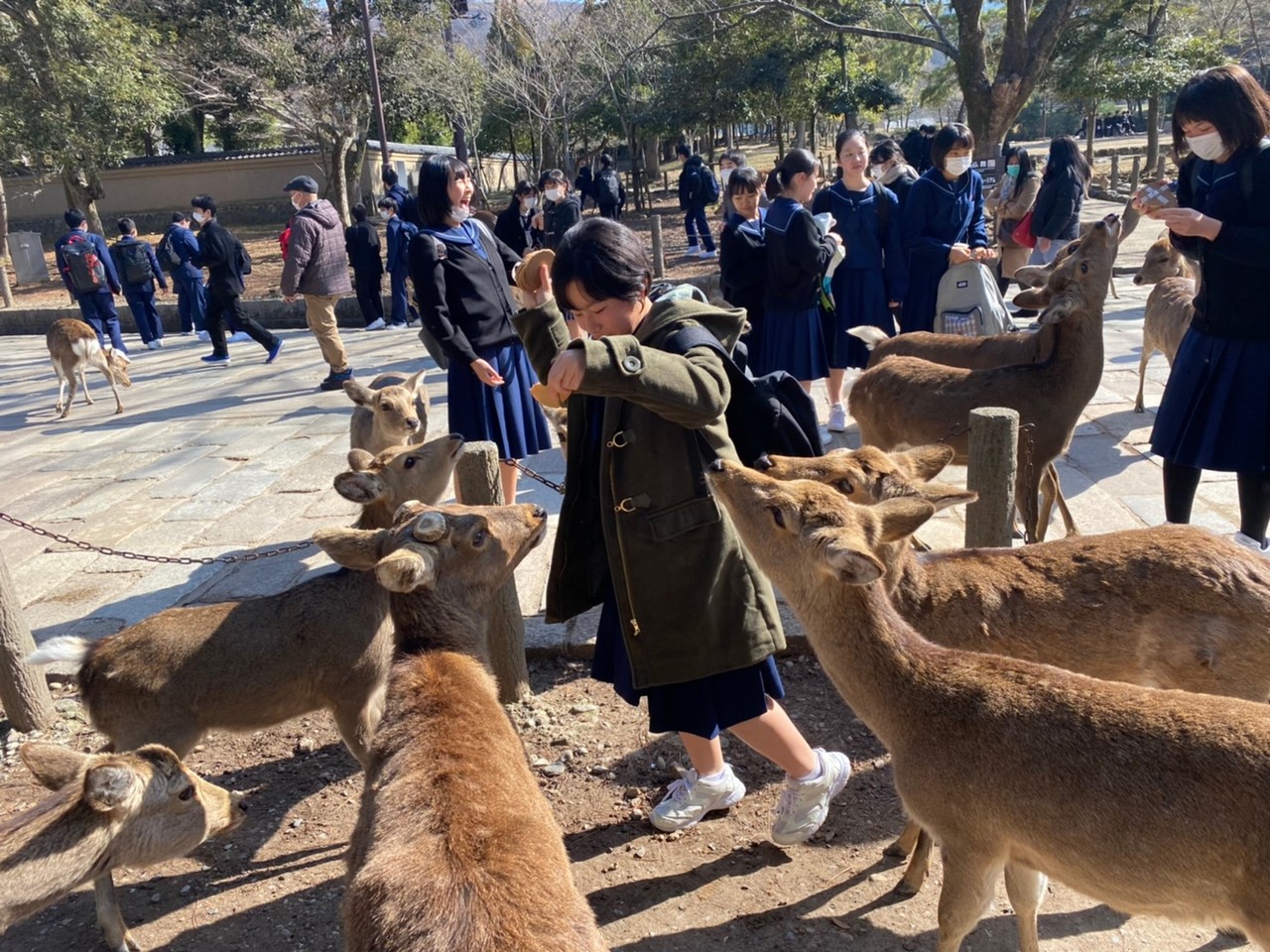 那珂川北中学校 令和元年度 修学旅行