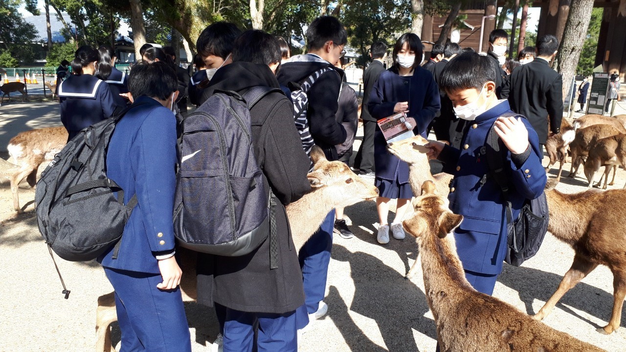 那珂川北中学校 令和元年度 修学旅行