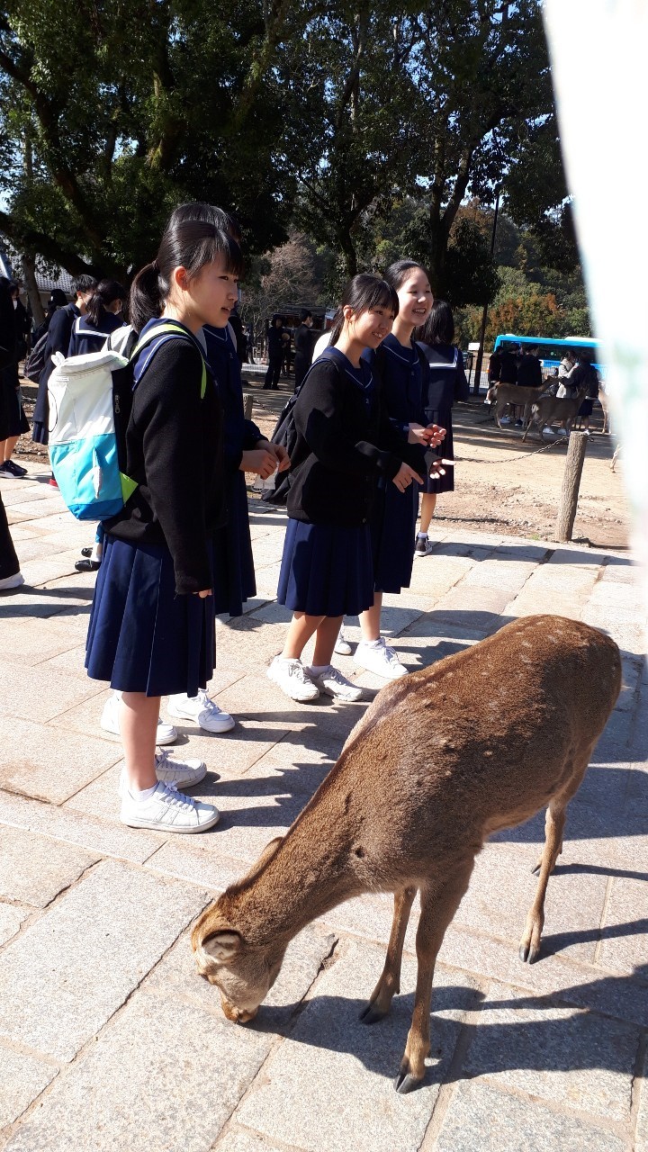 那珂川北中学校 令和元年度 修学旅行