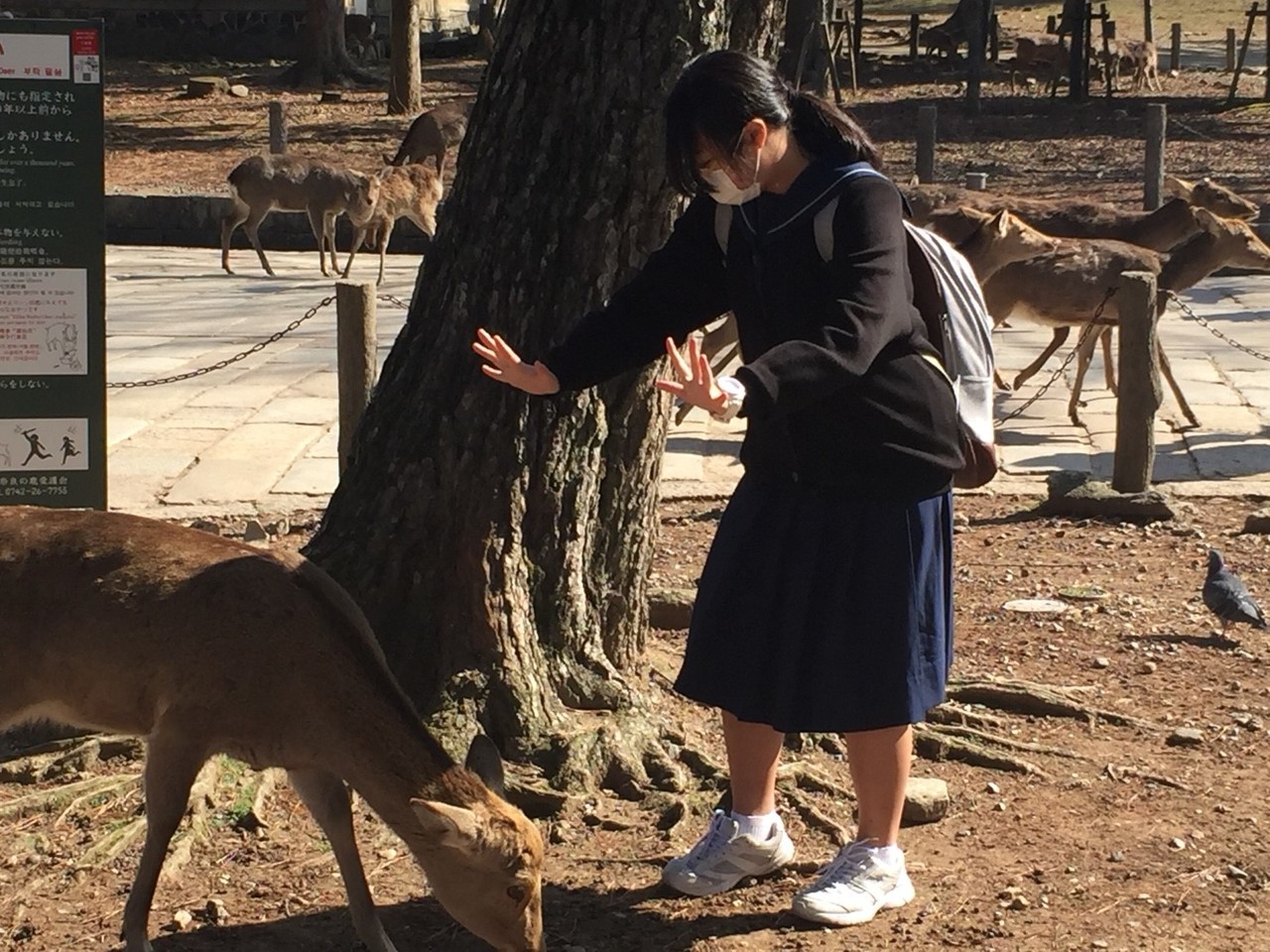 那珂川北中学校 令和元年度 修学旅行