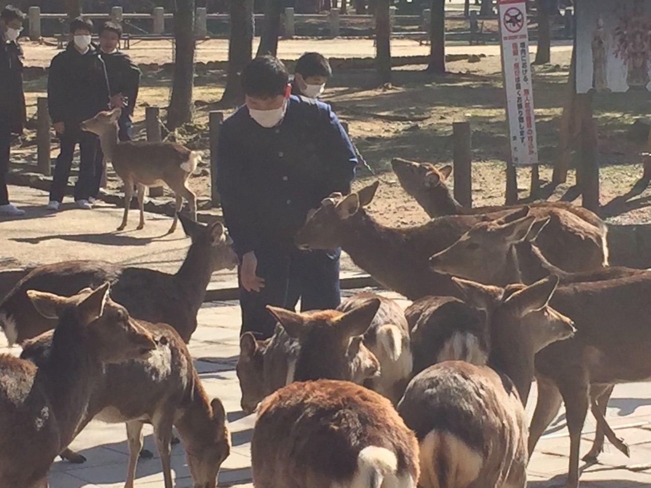 那珂川北中学校 令和元年度 修学旅行
